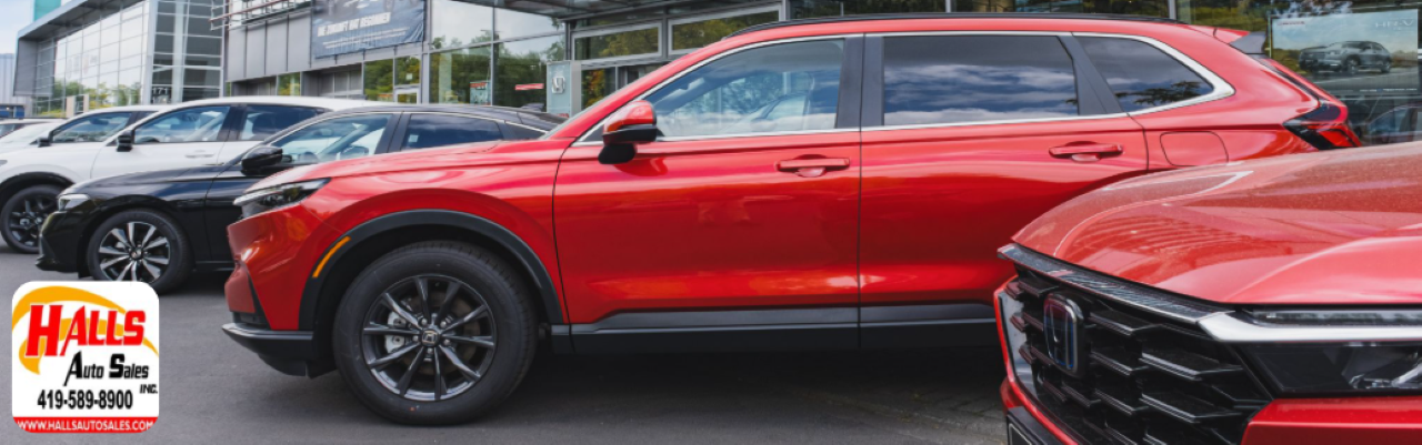 Hall’s Auto Sales sales consultant is assisting a customer during the vehicle trade-in and financing process.
