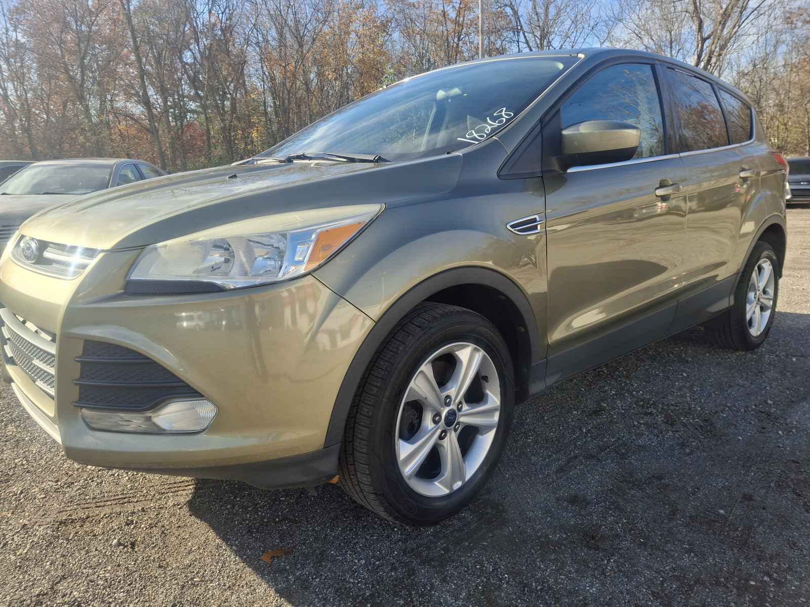 2013 Ford Escape SE